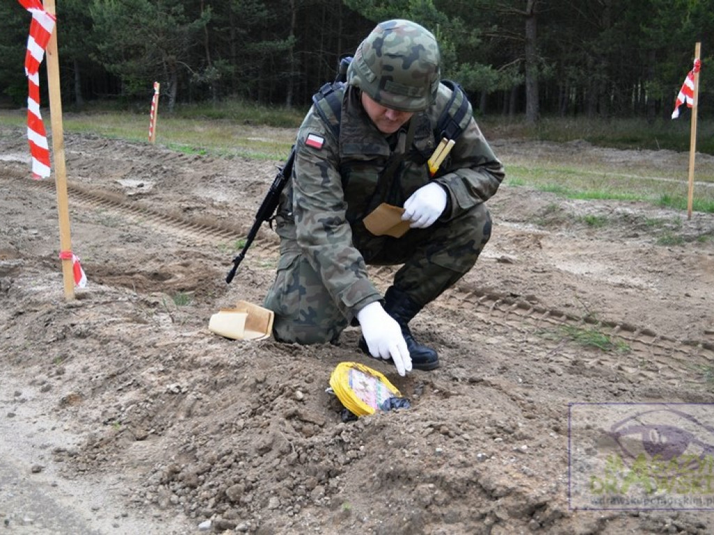 Podnosić kwalifikacje