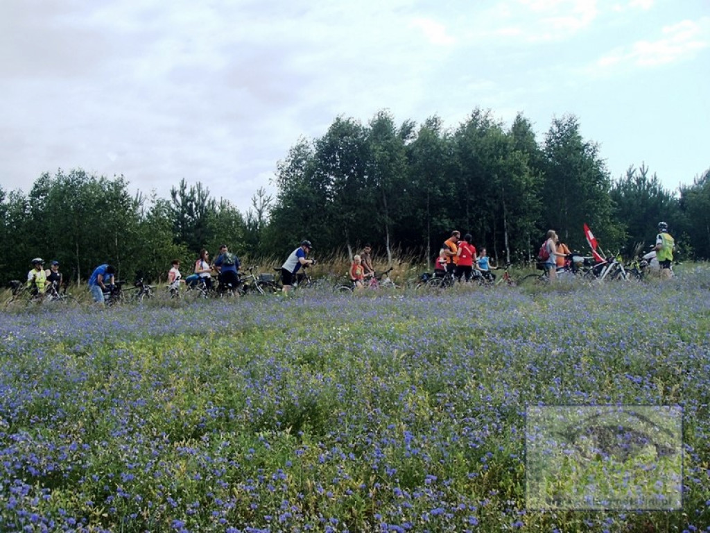 Triatlon z Bobrem - relacja