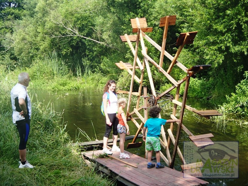 Triatlon z Bobrem - relacja