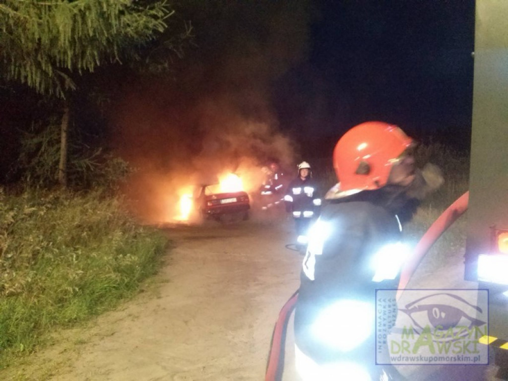 Pożar samochodu na DW 163.