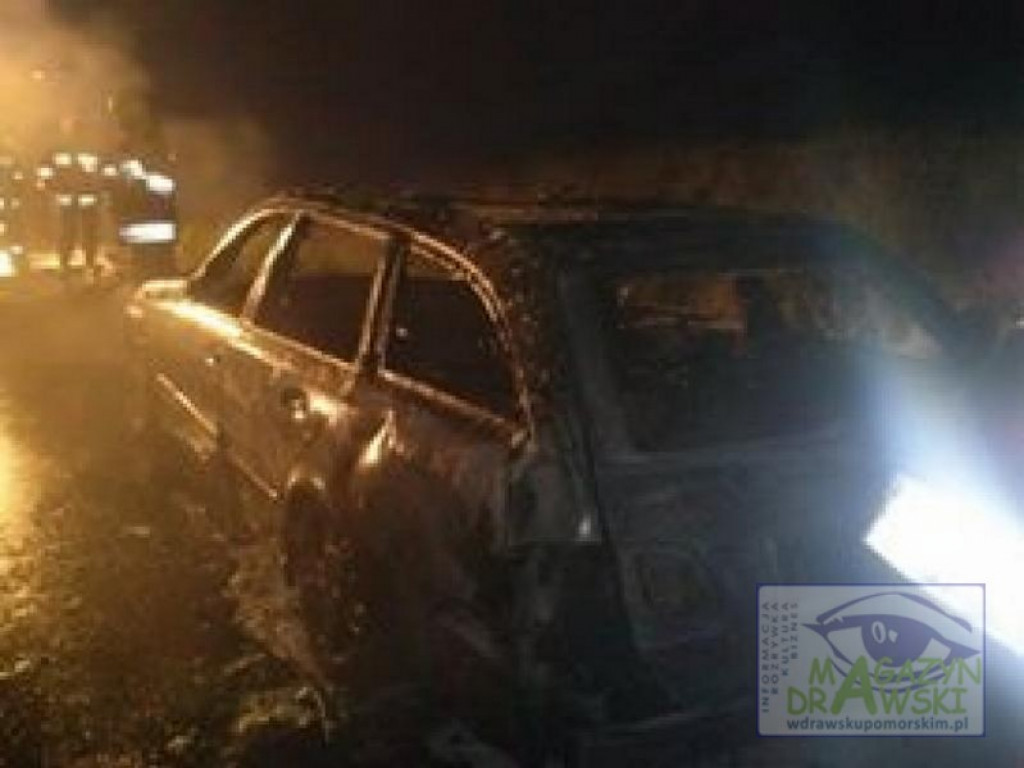 Pożar samochodu na DW 163.