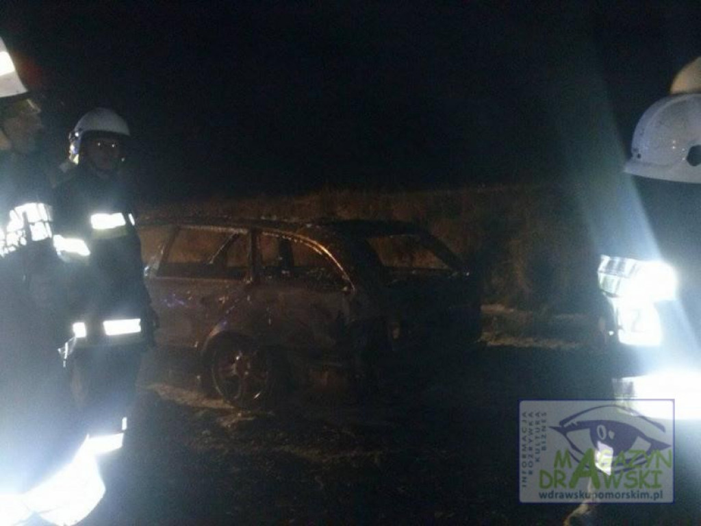 Pożar samochodu na DW 163.