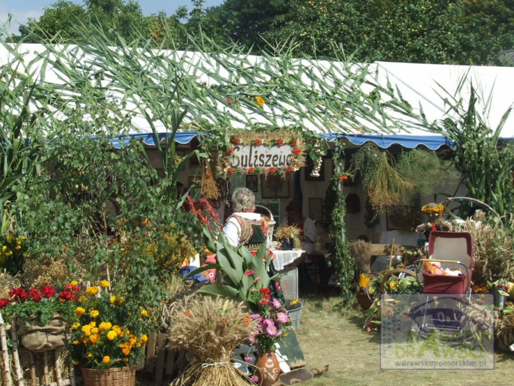 Święto rolników w Konotopie