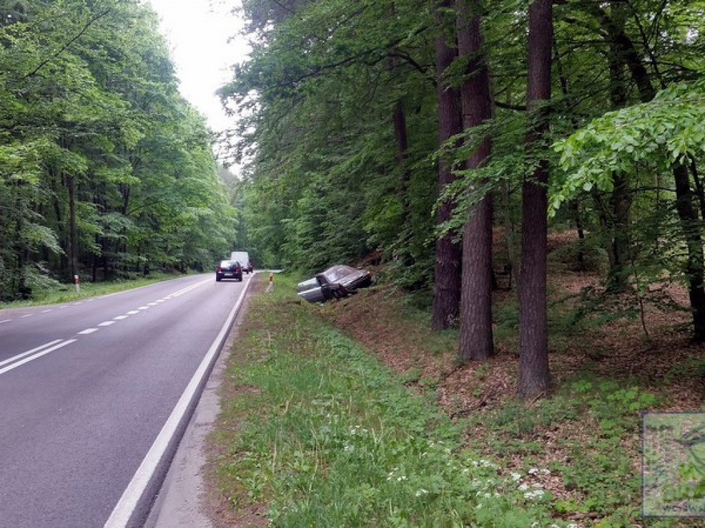 Tym razem obyło się bez ofiar