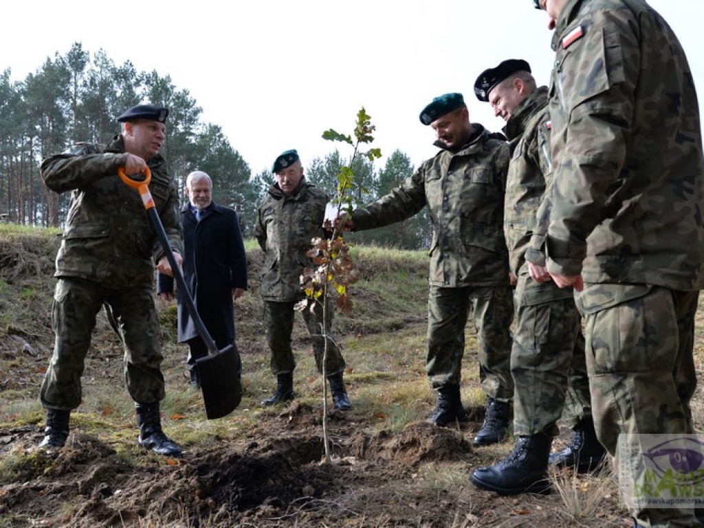 100 DĘBÓW i KAPSUŁA CZASU