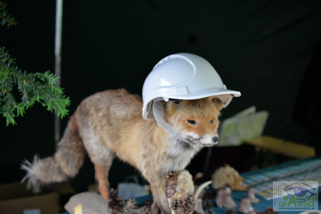 12 Dywizja świętowała w Złocieńcu