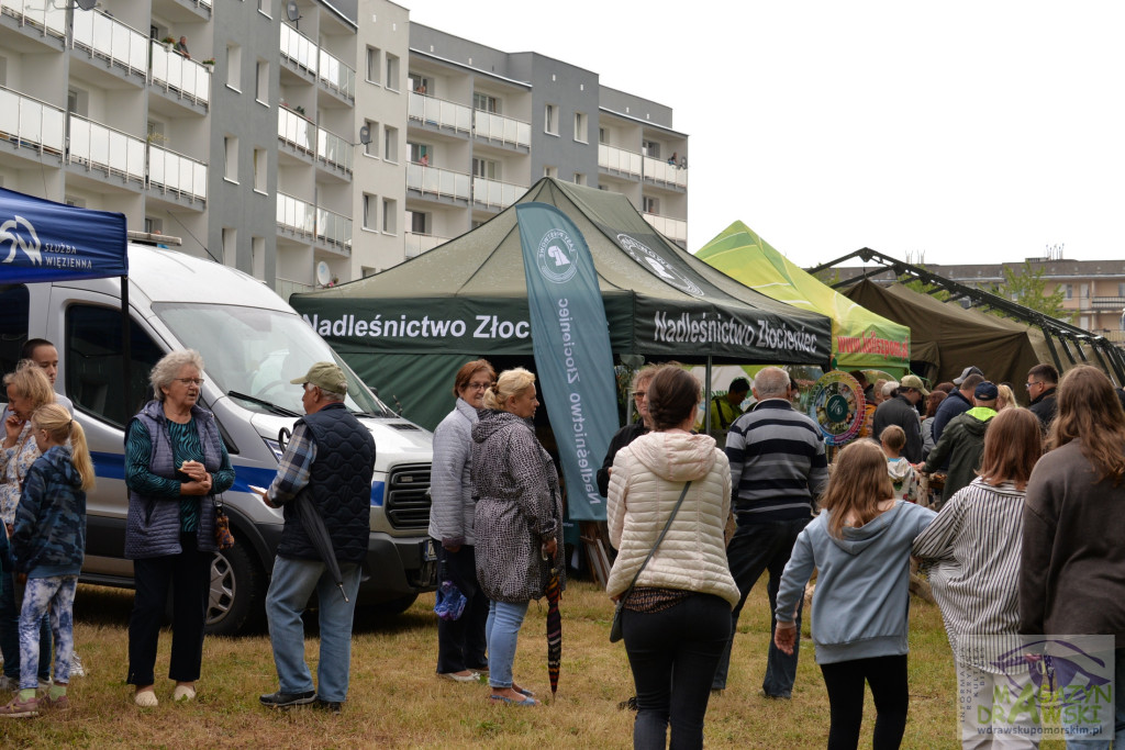 12 Dywizja świętowała w Złocieńcu