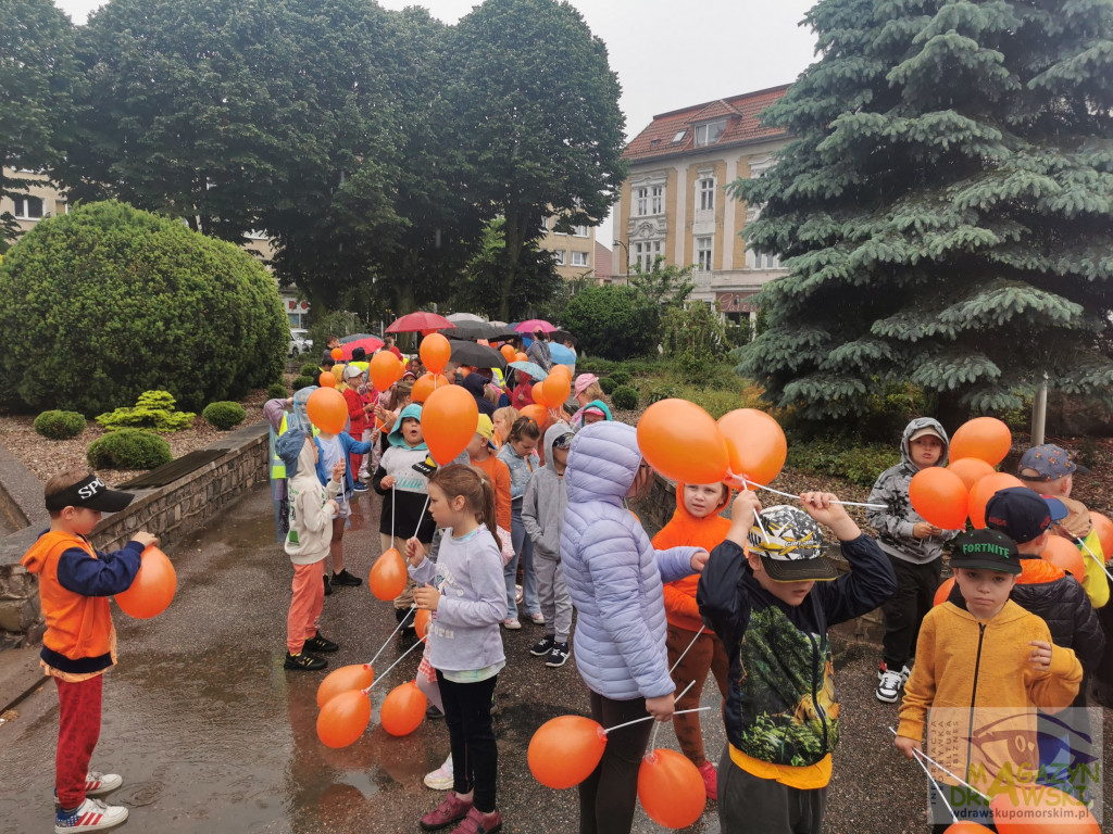 Dzień Otwarty Starostwa