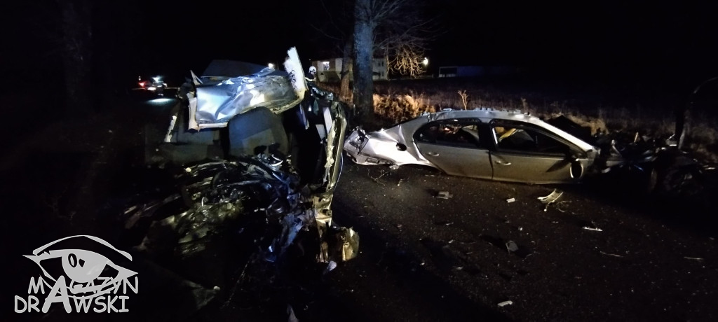 Śmiertelny wypadek na DW 169
