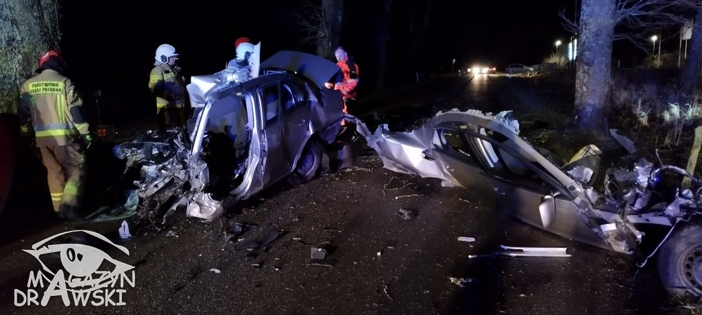 Śmiertelny wypadek na DW 169