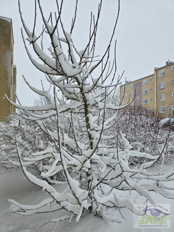 Miasto malowane śniegiem