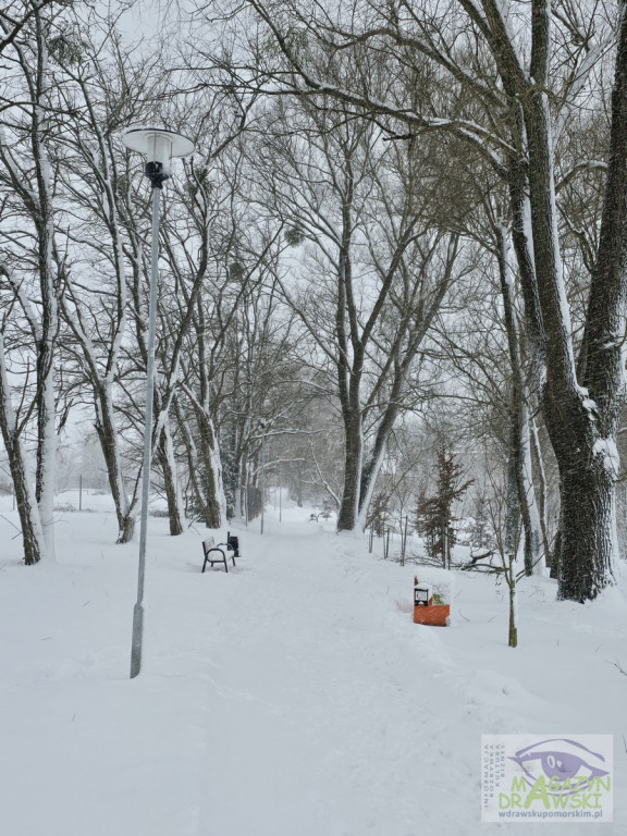 Miasto malowane śniegiem