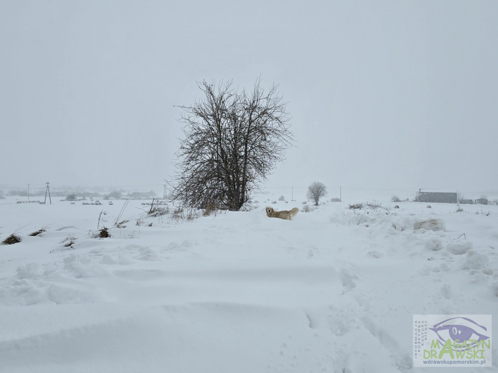 Miasto malowane śniegiem