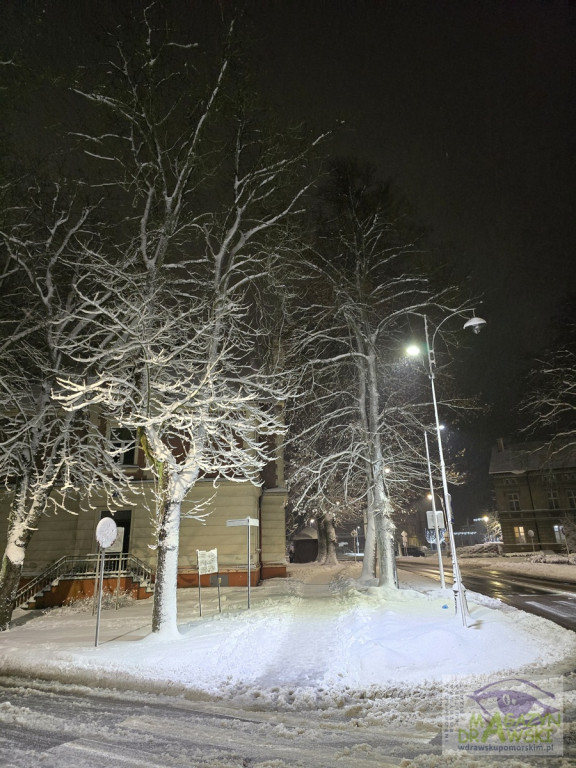 Miasto malowane śniegiem