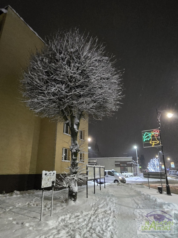 Miasto malowane śniegiem