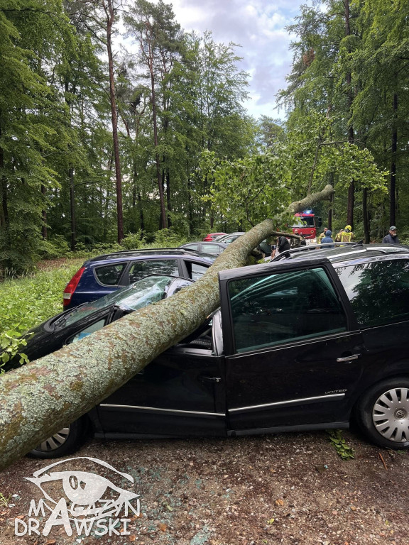 Zniszczone pojazdy pod Złocieńcem