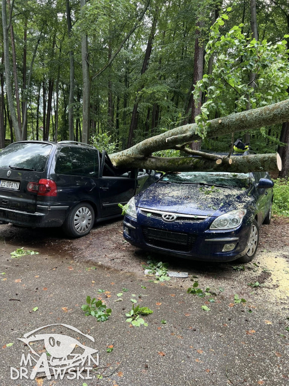 Zniszczone pojazdy pod Złocieńcem
