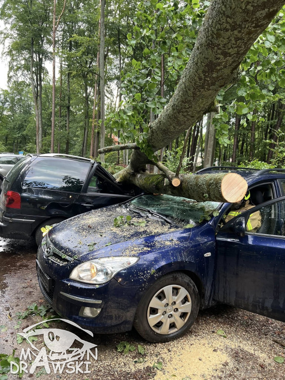 Zniszczone pojazdy pod Złocieńcem