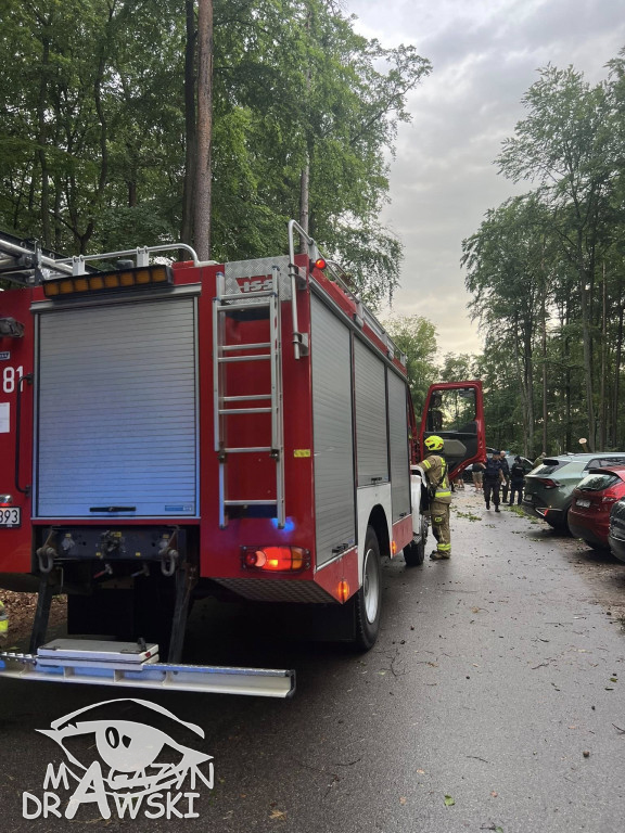 Zniszczone pojazdy pod Złocieńcem