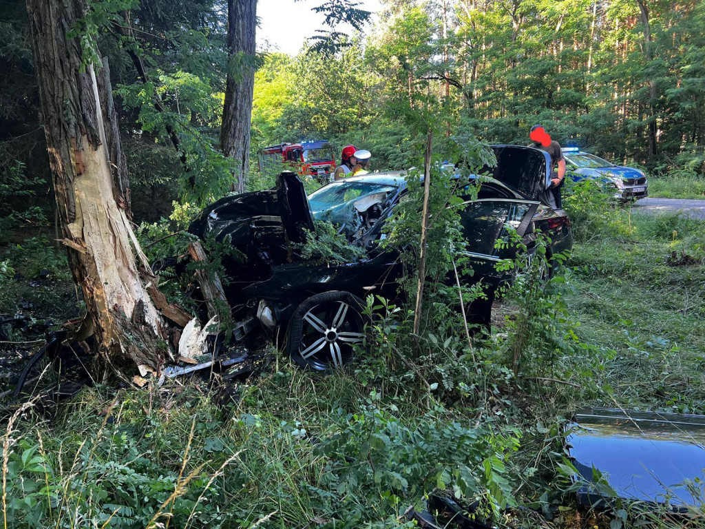 [DW 177] BMW wbiło się w drzewo