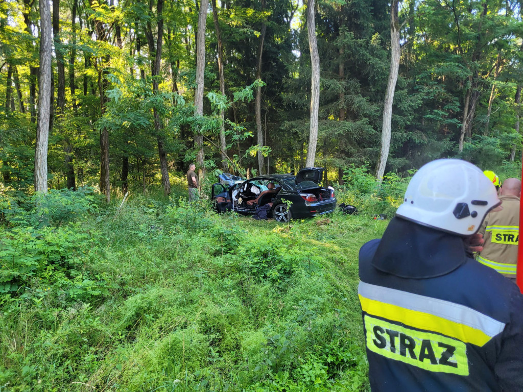 [DW 177] BMW wbiło się w drzewo