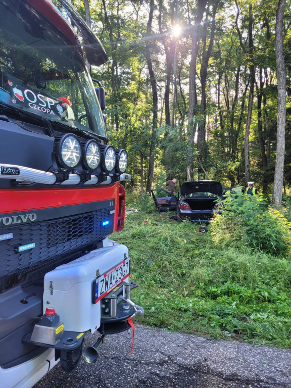 [DW 177] BMW wbiło się w drzewo