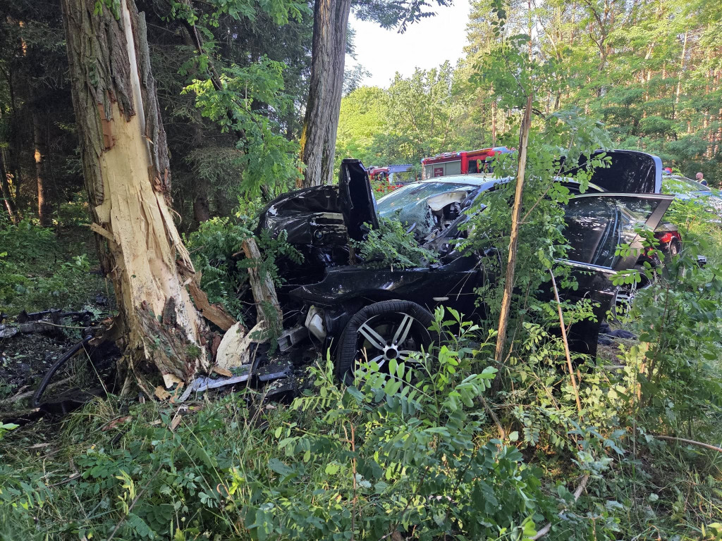 [DW 177] BMW wbiło się w drzewo