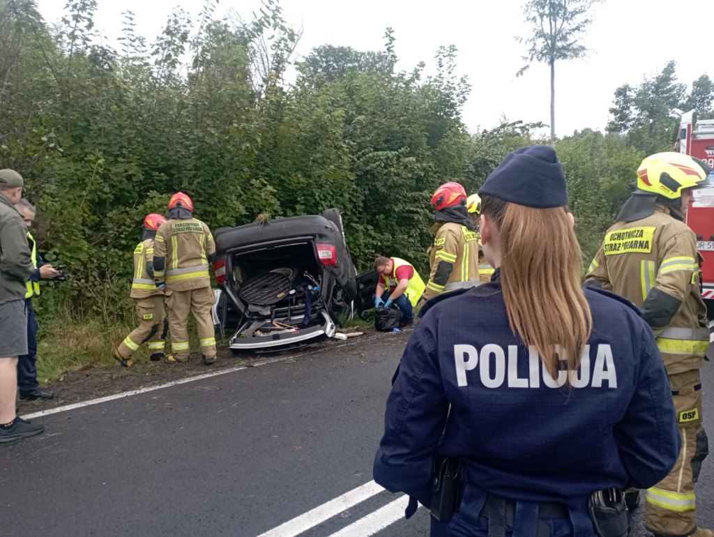 Dachowanie koło Złocieńca