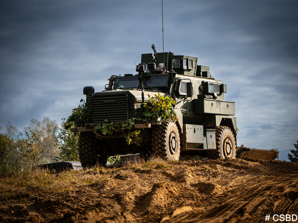 Dzielny Kojot-25