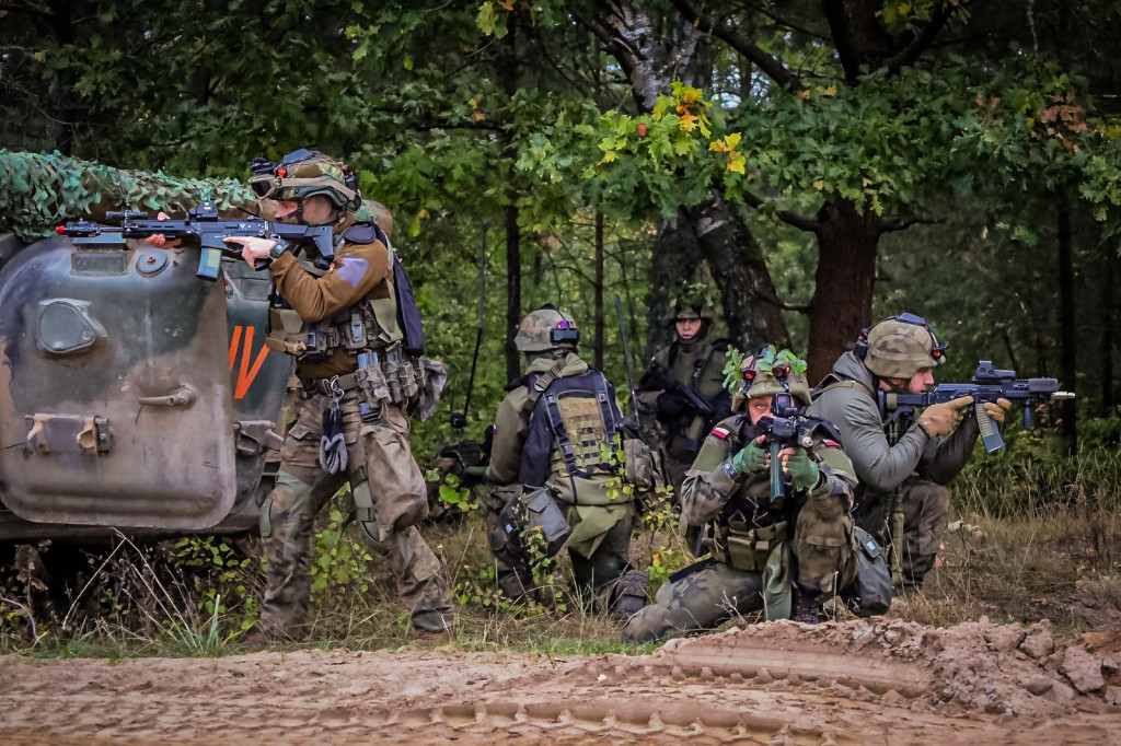 Dzielny Kojot-25