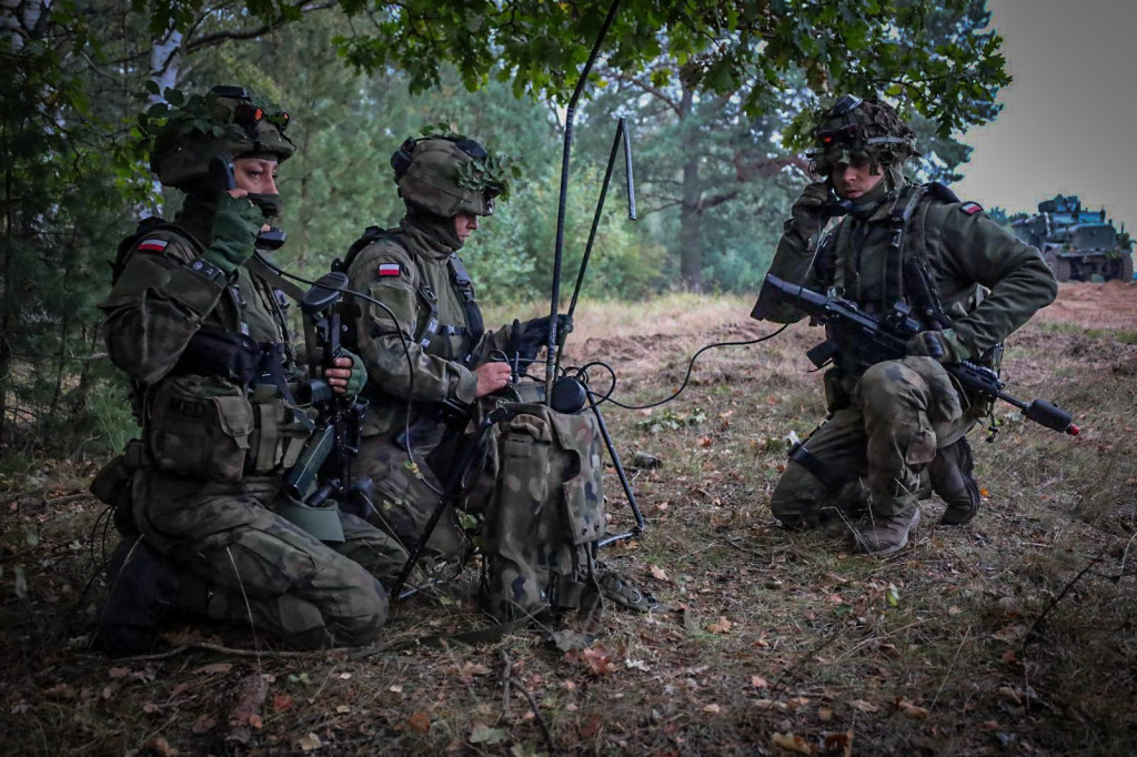 Dzielny Kojot-25