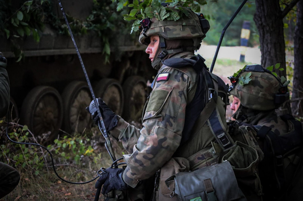 Dzielny Kojot-25