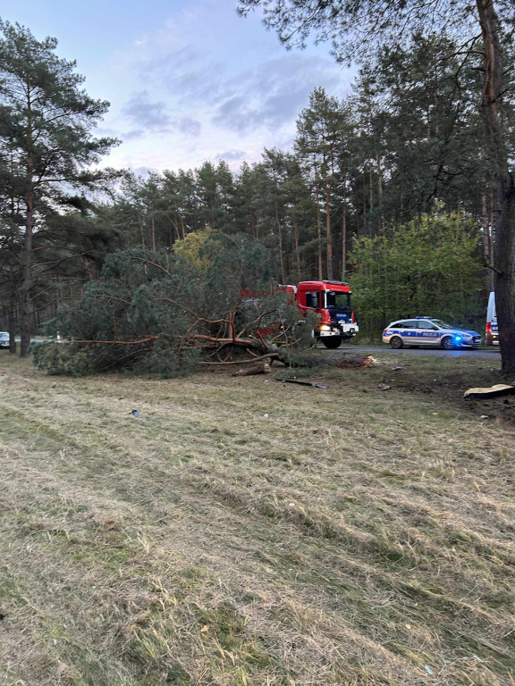 Kierowca BMW nieprzytomny