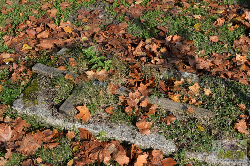 Wszystkich Świętych na Drawskim Cmentarzu