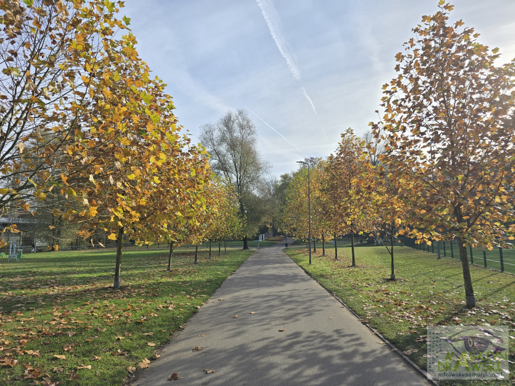 Finał w piłce ręcznej