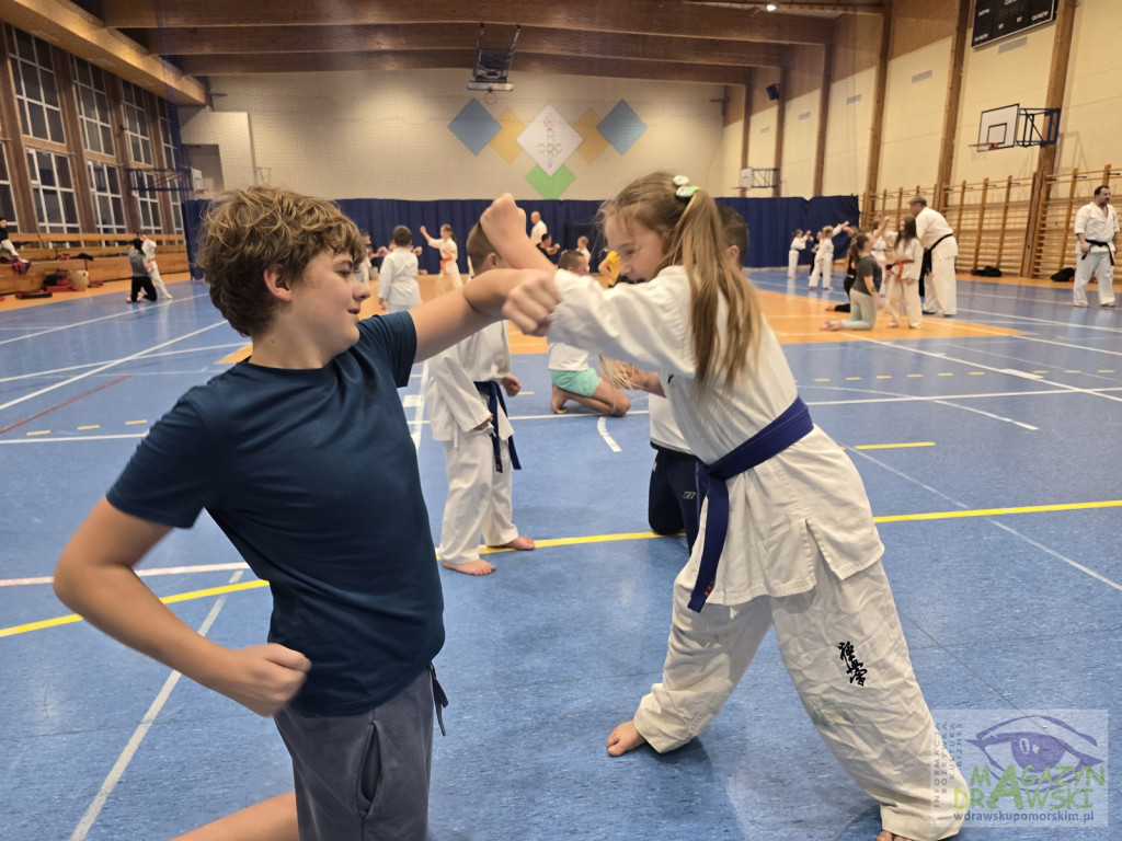 Karat, trening, integracja