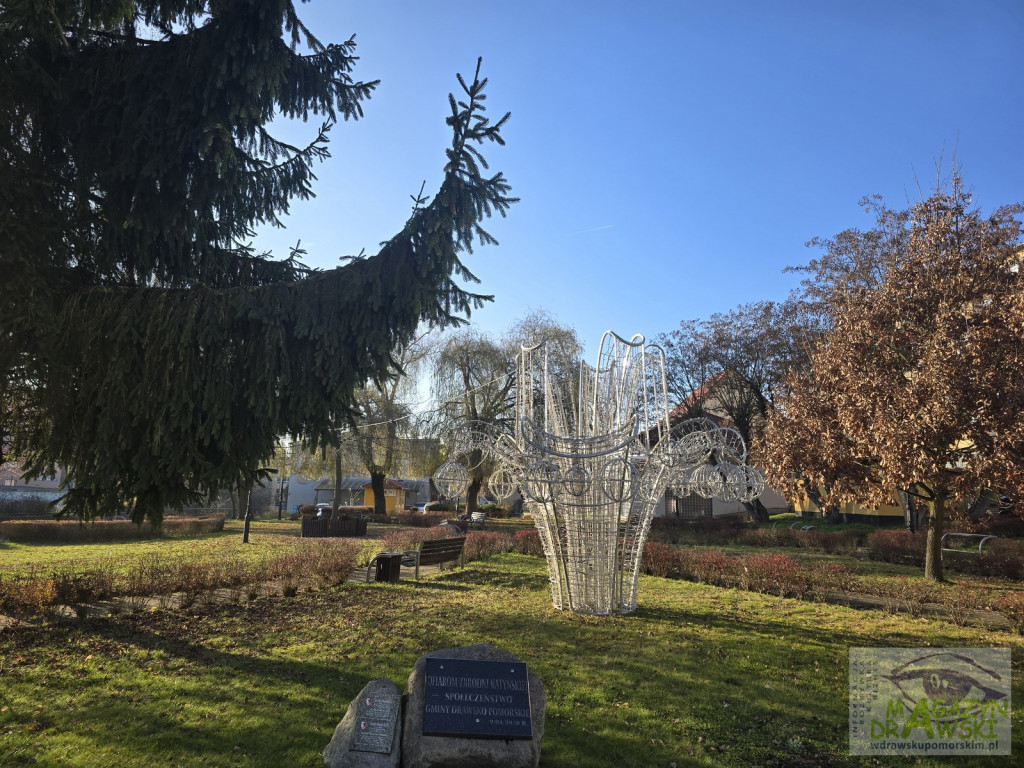 Będzie SREBNA CHOINKA