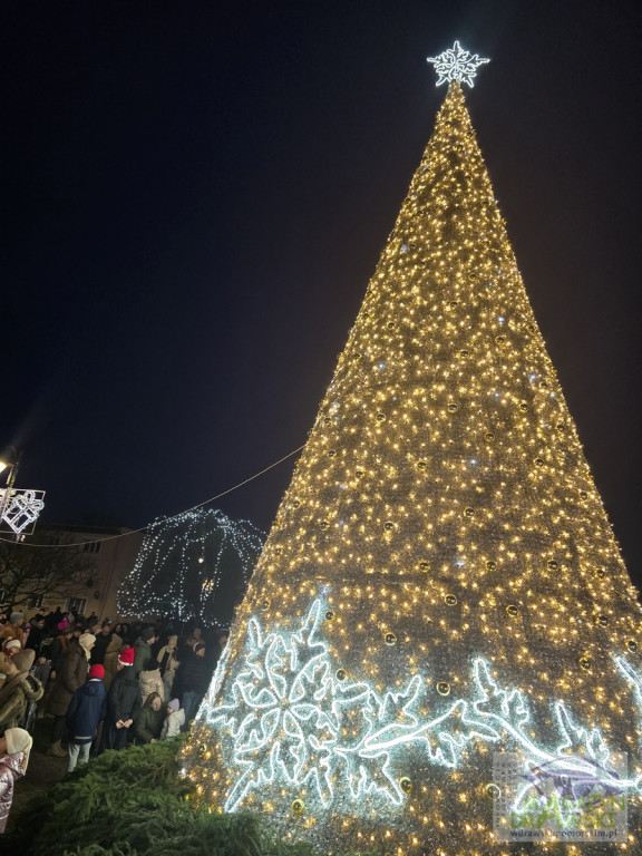 Mikołaj, Choinka, Świąteczny Jarmark