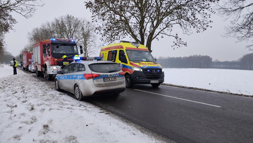 [DW 163] Samochodem w drzewo