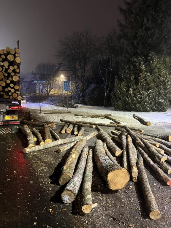 [DK 20] Drewno na drodze