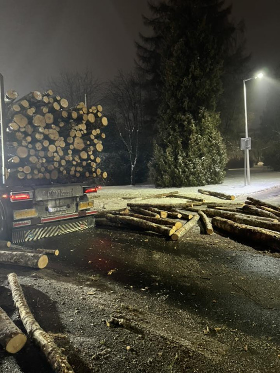 [DK 20] Drewno na drodze