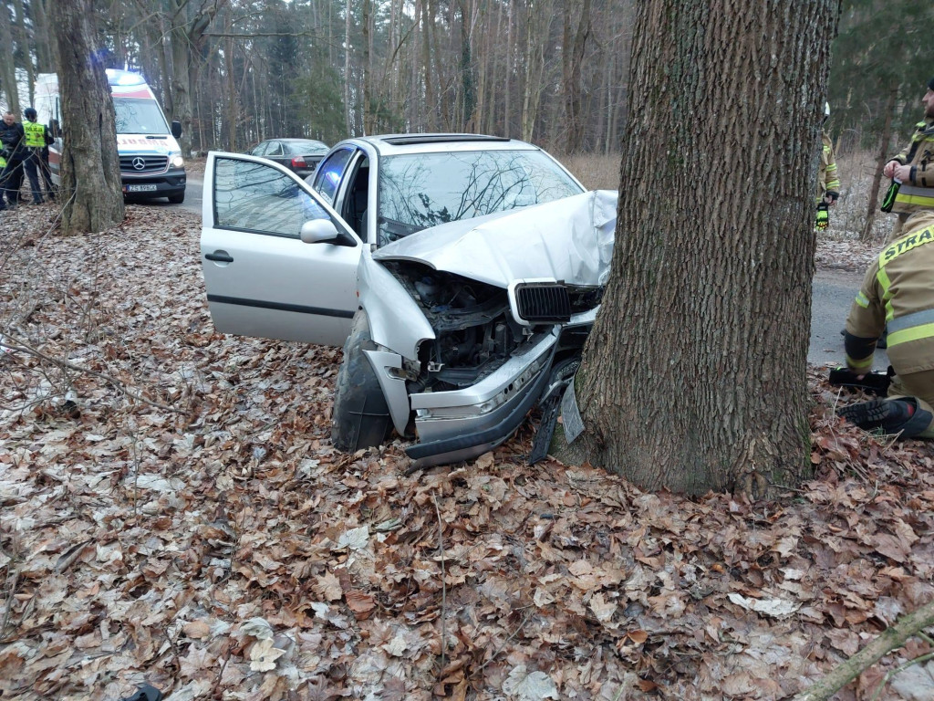 Po alkoholu pojazdem w drzewo