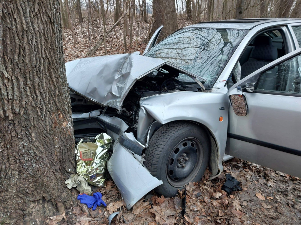 Po alkoholu pojazdem w drzewo