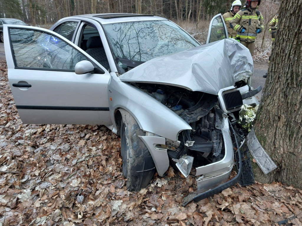 Po alkoholu pojazdem w drzewo