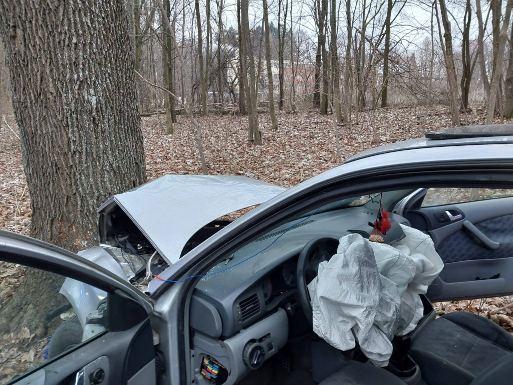 Po alkoholu pojazdem w drzewo