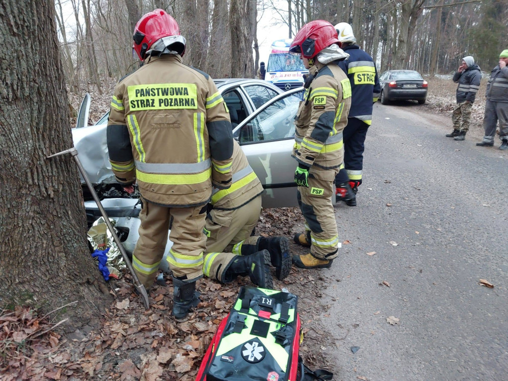 Po alkoholu pojazdem w drzewo