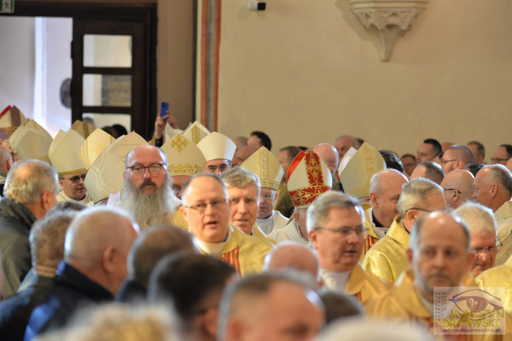 Ingres bp Krzysztofa Zadarki