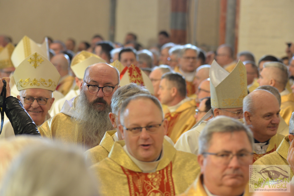 Ingres bp Krzysztofa Zadarki