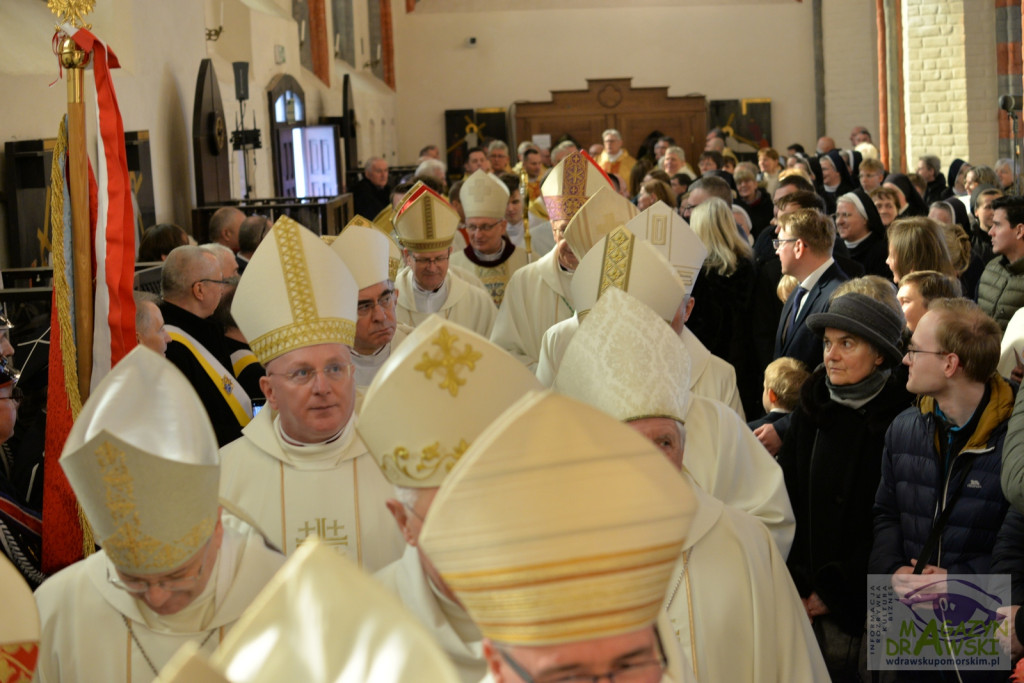 Ingres bp Krzysztofa Zadarki