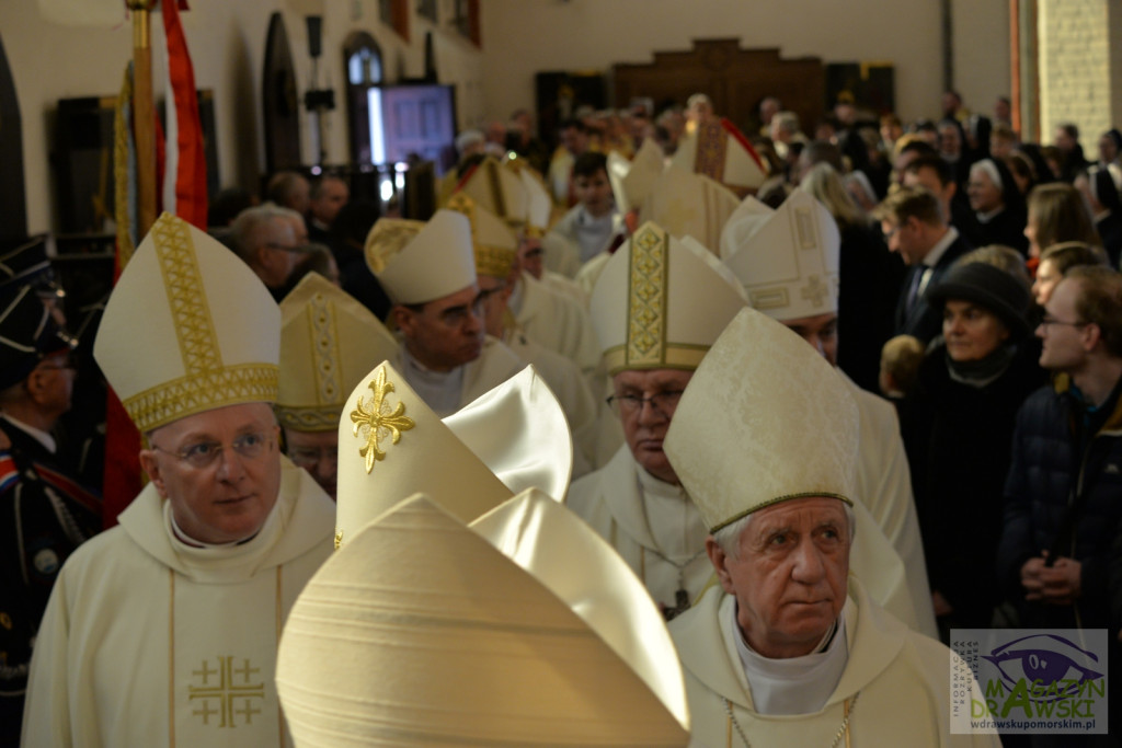 Ingres bp Krzysztofa Zadarki